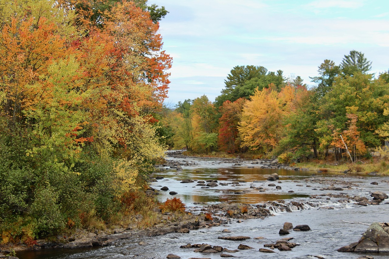 Fall, new england, new hampshire — Breaking Barriers: Redefining Mental Wellness with Dr Ryan Sondergard 's ECT Advancements