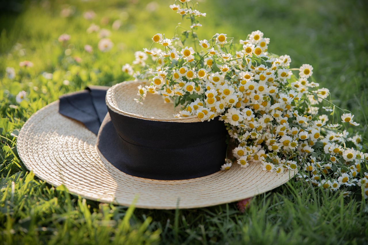 Hat, chamomile, flower wallpaper — The Benefits of Choosing Plus Size Swimsuits for Perfect Fit