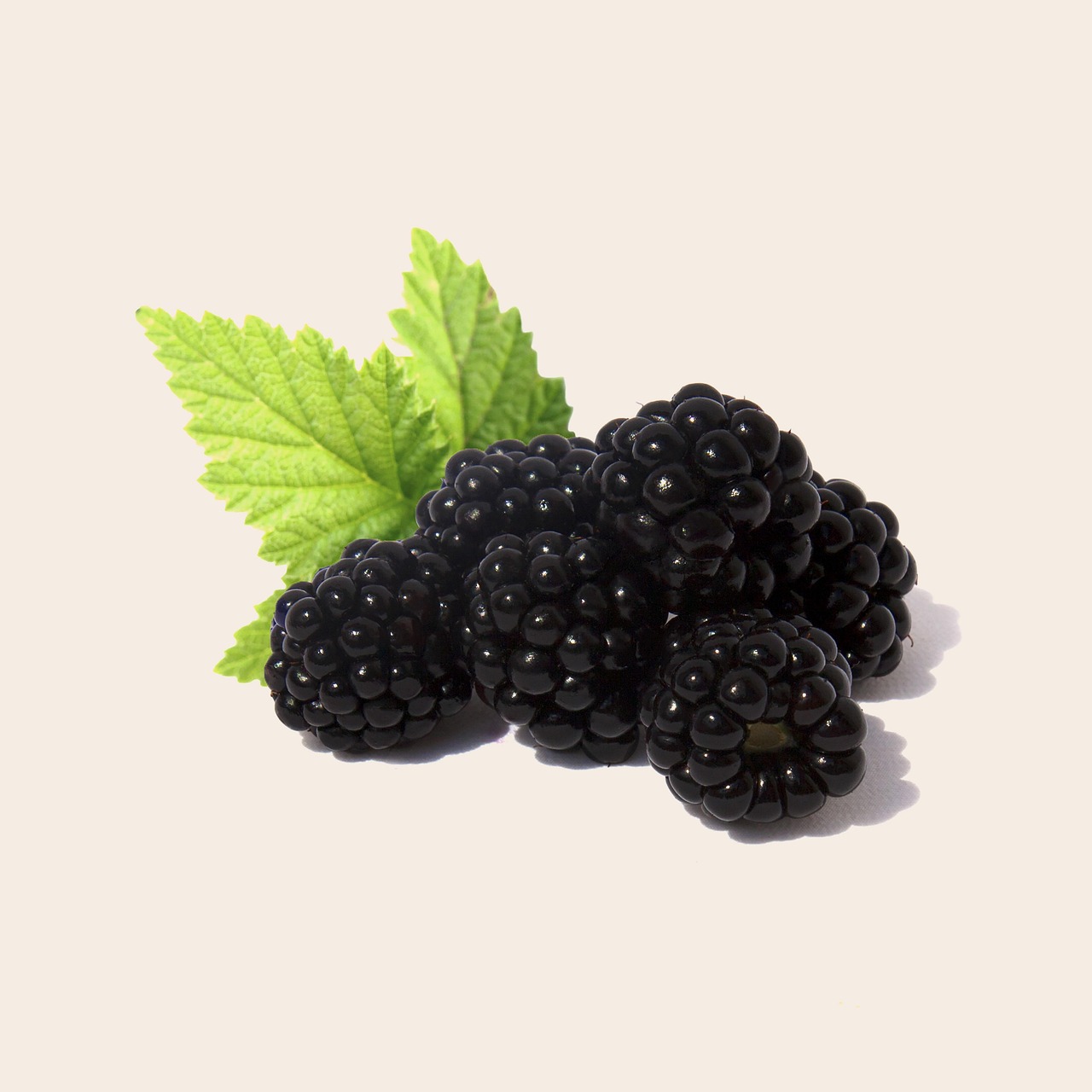 Blackberries, fruit, health — The Ultimate Guide to Testosterone Replacement Therapy Online: Benefits, Risks, and Best Practi