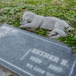 Wealthy Roman Dog Memorial: Is It the Best Tribute Ever?