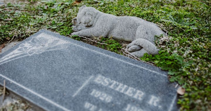 Wealthy Roman dog memorial