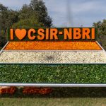 CSIR CFTRI Technician Recruitment: Easy Steps to Apply Now