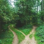 Keith Dagostino – A Journey of Professional Growth and Achievement